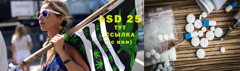 блэк спрут ссылки  где купить   Зуевка  LSD-25 экстази ecstasy 