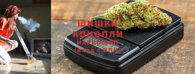 сколько стоит  Зуевка  Конопля SATIVA & INDICA 